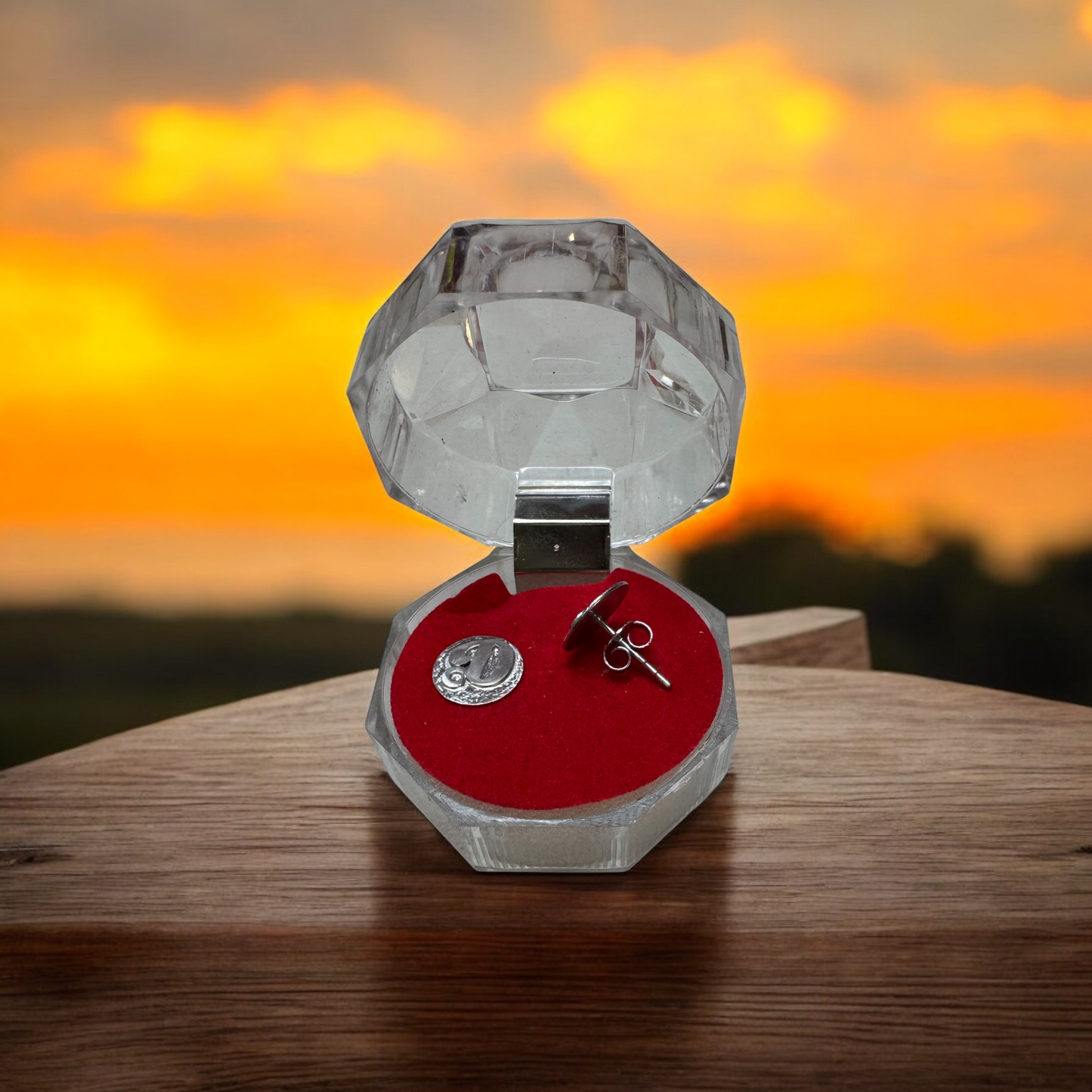 Cercei Argint 925 "D"